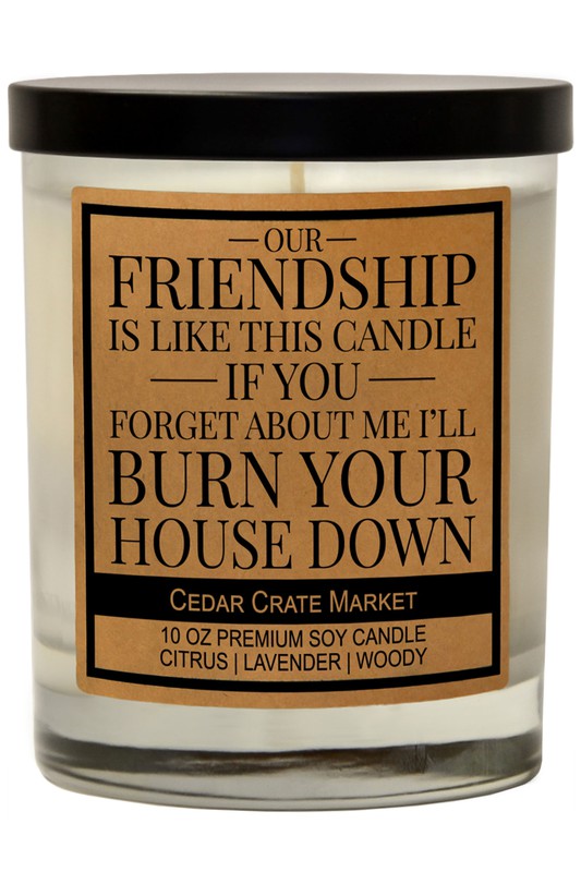 Our Friendship is Like This Candle Soy Candle